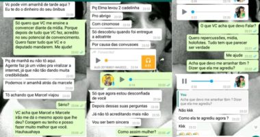 Artigo: Em conversa no WhatsApp, Vanessa confessa ter forjado provas para incriminar Ana Rita