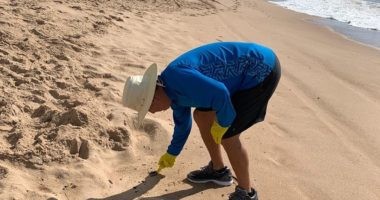 Artigo: Pela prefeitura, vale tudo para Teobaldo