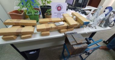 Artigo: Prensa hidráulica e 14 kg de maconha encontrados na RMS