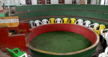 Artigo: Polícia acaba com rinha de galo e conduz 13 pessoas em Salvador