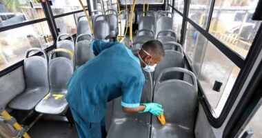 Artigo: Na fase dois, frota de ônibus em Salvador passa para 80%