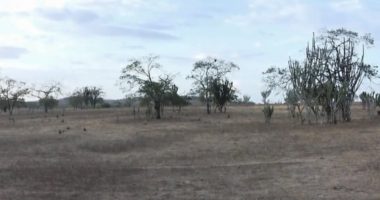 Artigo: Bahia registra menor área com seca para o mês de agosto em cinco anos, aponta ANA