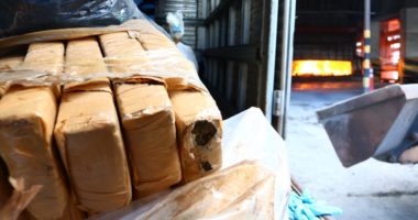 Artigo: Draco incinera três toneladas de drogas apreendidas em Salvador e RMS