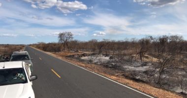 Artigo: Incêndio no interior da Bahia já dura mais de 10 dias; Bombeiros trabalham no local
