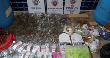 Artigo: Operação da PM encontra esconderijo de armas e drogas em Irará