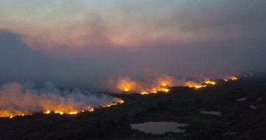 Artigo: Senado instala comissão para fiscalizar ações contra fogo no Pantanal