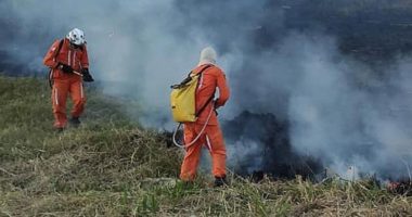 Artigo: Incêndio em Barra está próximo de ser controlado