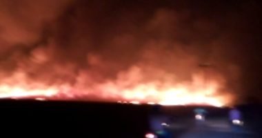 Artigo: Incêndio atinge vegetação e queima 30 hectares em Barra, no oeste do estado