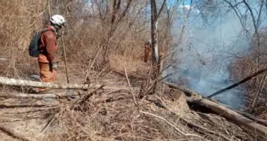 Artigo: Incêndio em Barra chega nos limites de Morpará e Xique-Xique