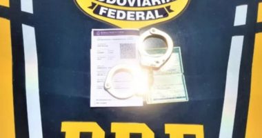 Artigo: Homem é preso com CNH falsa na BR-242
