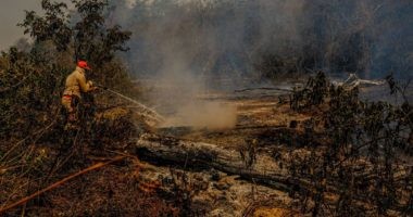 Artigo: Fogo já destruiu 3,461 milhões de hectares do Pantanal