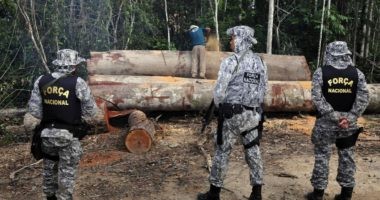Artigo: Governo prorroga uso da Força Nacional na Amazônia