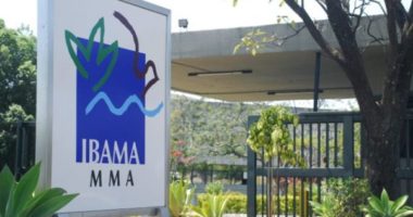 Artigo: Ministério do Meio Ambiente estuda fusão entre Ibama e ICMBio