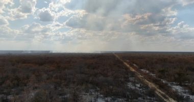 Artigo: Barra: Incêndios chegam ao 16º dia