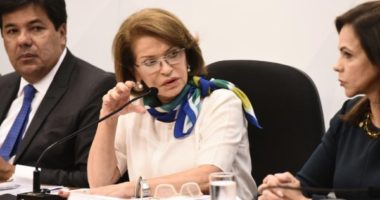 Artigo: Professora Maria Helena Guimarães de Castro assume CNE
