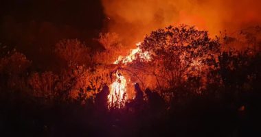 Artigo: Aviões dos bombeiros ajudam no combate a incêndio em Andaraí