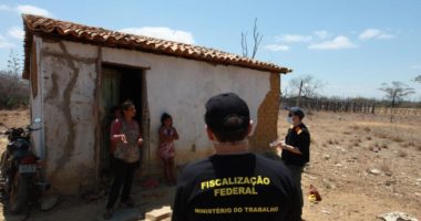 Artigo: Trabalhadores são achados em condições análogas à escravidão