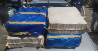 Artigo: Itabuna: polícia apreende mais de 200 kg de maconha em operação