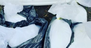 Artigo: Ilhéus: homem é preso após ser flagrado com envelopes de cocaína em carro