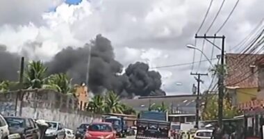 Artigo: Salvador: garagem de ônibus é atingida por incêndio no bairro de Pirajá