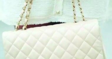 Artigo: Desembargadora presa na Faroeste chegou à prisão usando bolsa Chanel, diz jornal