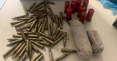 Artigo: Simões Filho: polícia apreende explosivo e munições para fuzil