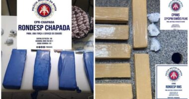 Artigo: Polícia apreende 19 tabletes de maconha em cidades do interior da Bahia