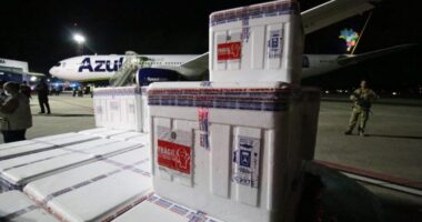 Artigo: Ministério da Saúde recebe mais 3 milhões de doses da Coronavac