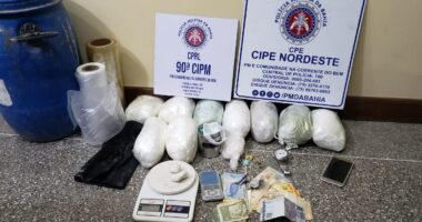Artigo: Polícia apreende 9 quilos de cocaína pronta para venda no interior da Bahia