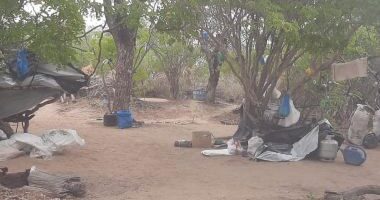 Artigo: Itaparica: Produção de maconha é destruída em operação policial