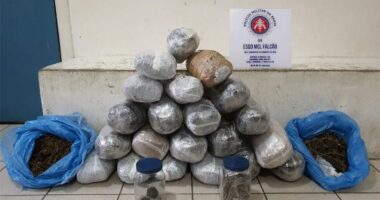 Artigo: Vitória da Conquista: homem é preso após ser flagrado transportando drogas em caixa de papelão