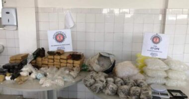 Artigo: Simões Filho: PM encontra 5 mil porções de drogas e granada enterradas