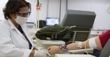 Artigo: Queda na doação de sangue devido à pandemia preocupa hemocentros