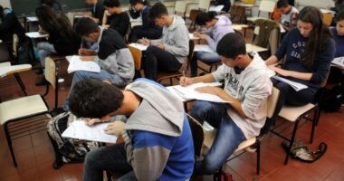 Artigo: Enem será reaplicado nos dias 9 e 16 de janeiro