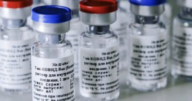 Artigo: Sesab cria comitê para acompanhar ações da Sputnik V