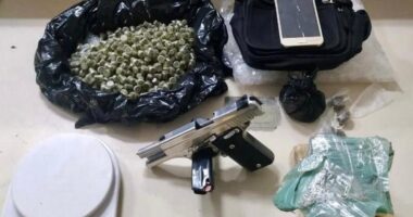 Artigo: Suspeito que exibia armas nas redes sociais é preso por tráfico de drogas