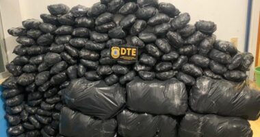 Artigo: DTE de Feira apreende carregamento de maconha estimado em R$ 500 mil