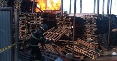 Artigo: Incêndio atinge fábrica de paletes no bairro de Valéria, em Salvador