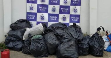 Artigo: Operação em Senhor do Bonfim apreende mais 300 kg de drogas