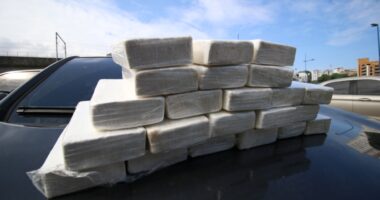 Artigo: Crescem em 1.000% as apreensões de cocaína na Bahia