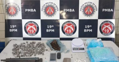 Artigo: Jequié: polícia descobre plantio de maconha e prende suspeito de cometer estupro