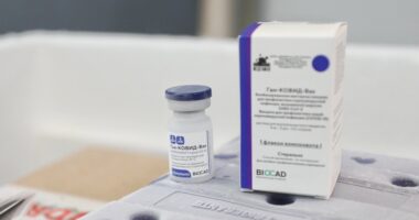 Artigo: Sputnik V: Anvisa recebe pedido de importação da vacina feito pela Bahia e mais oito estados