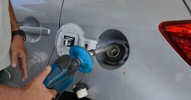 Artigo: Petrobras anuncia aumento da gasolina e do diesel em refinarias