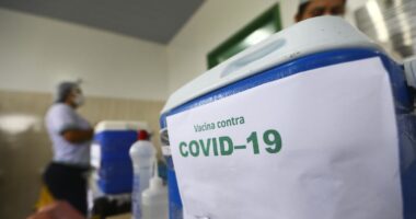 Artigo: CoronaVac: Bahia recebe mais 79,2 mil doses de vacina