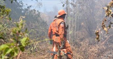 Artigo: Pelo 6º dia seguido, fogo consome vegetação de reserva indígena em Porto Seguro