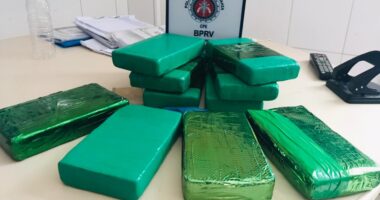 Artigo: Morro do Chapéu: polícia encontra tabletes de cocaína avaliados em R$ 720 mil