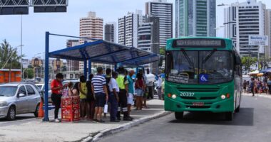 Artigo: Covid-19: MP solicita à Justiça circulação de 100% da frota de ônibus em Salvador