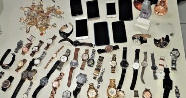 Artigo: Trio suspeito de invadir e furtar casas em Brasília é preso na Bahia