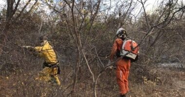 Artigo: Incêndio no Parque Nacional da Chapada Diamantina é controlado