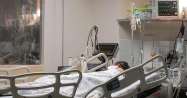 Artigo: Brasil: 80% dos mortos e internados por Covid são não vacinados